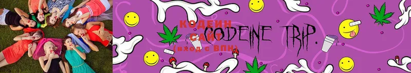 Кодеиновый сироп Lean Purple Drank  закладки  Лагань 