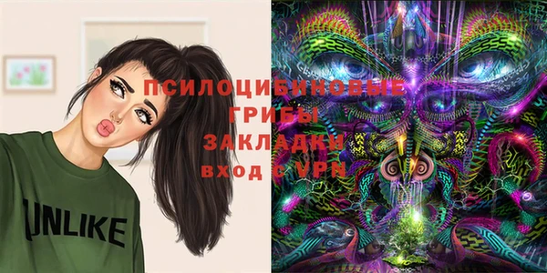 стафф Иннополис